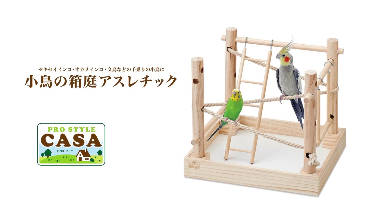 小鳥の箱庭アスレチック  小鳥のCASA 小鳥のCASAシリーズ ｜ペットのフードと用品の総合メーカー マルカン