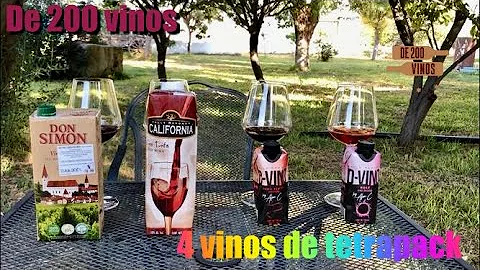 Quanto dura il vino in bag in box?