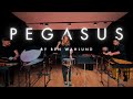 Pegasus by ben wahlund  northwest percussion feat zane papek