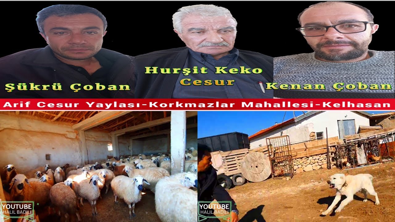 Arif Cesur Yaylası - Korkmazlar Mahallesi  - Kelhasan