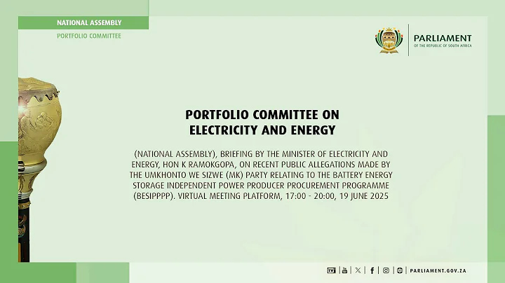 Portfolio Committee on Electricity and Energy, 19 June 2025
