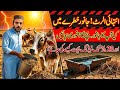 🚨 Garmi ,Nuksaan aur Bachat? 20% tak sasta feeding plan!(Complete Nutritional Guide 2026) Explained 