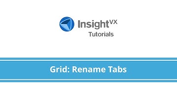 Insight VX Tutorials: iTab - Grid (Rename Tab)