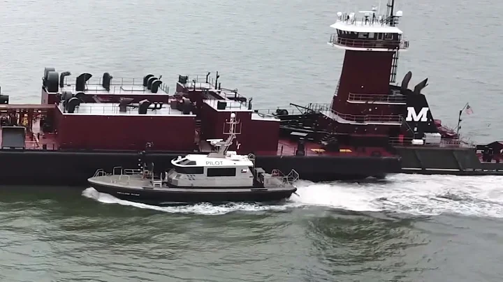 BIG SHIPS IN GALVESTON CHANNEL - LEIGH ANN MORAN &...