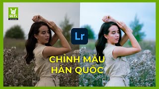 CHỈNH MÀU HÀN QUỐC TƯƠI SÁNG BẰNG LIGHTROOM || ViTi Channel screenshot 2