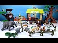 Jungle Wild Animal Care Playset For Kids - Learn Animals Names Toys Video