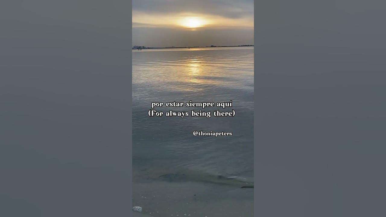 Carla Morrison - Disfruto (Lyrics Spanish & English Translation)