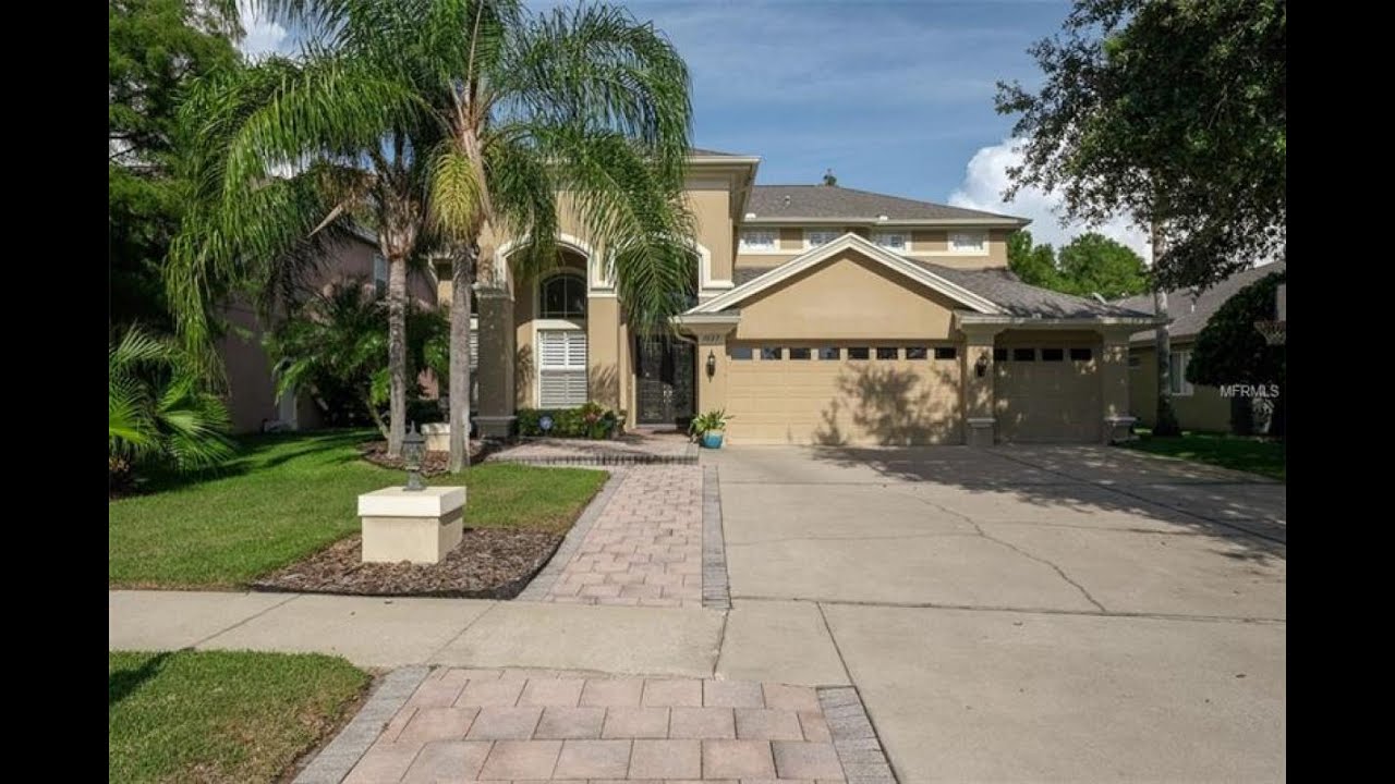 Homes for sale 3022 NORTHFIELD DR, TARPON SPRINGS, FL 34688 YouTube