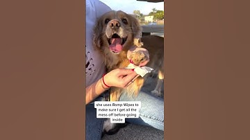 Boost Sales with UGC Ads | Romp’s Amazon Sales Spiked #ugccreator #marketingagency