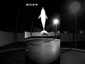 Uncanny Visitors Caught on Camera