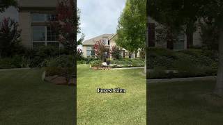 💦 Pool House Tour in North Richland Hills. TX