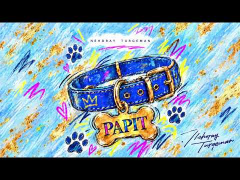 נהוראי תורג׳מן -פאפית (קאבר)