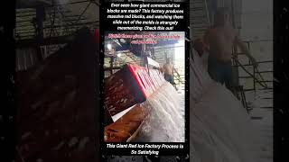 This Giant Red Ice Factory Process Is So Satisfying #IceFactory#SatisfyingVideos