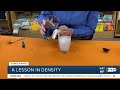 Science Sundays: A Lesson in Density