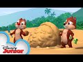 Sand Castle Hassle | Chip 'N Dale's Nutty Tales | Disney Junior