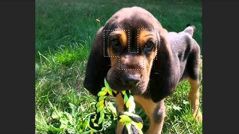 Photoshop Tutorial - 12 - Rectangular Marquee Tool