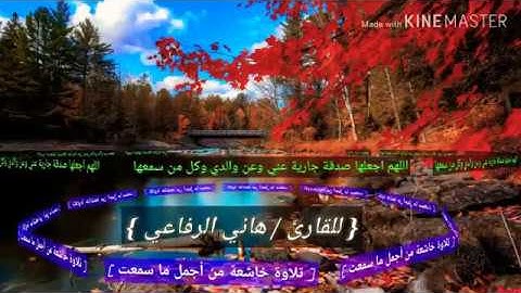 عطر مسامعك بتلاوة جميلة الشيخ هاني الرفاعي