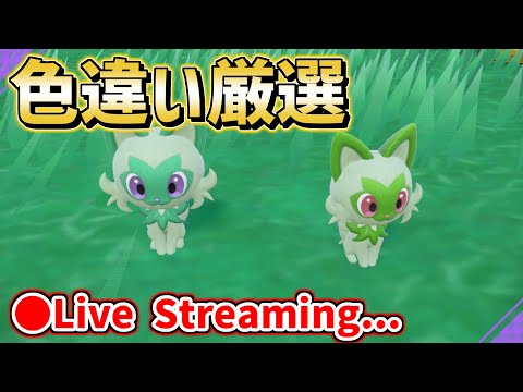ニャオハ色違い厳選】新環境マスカーニャがめっちゃ強そう