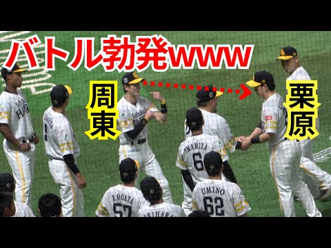 【バトル勃発】周東佑京vs栗原陵矢W山川穂高は独特ルーティン！福岡ソフトバンクホークス試合前練習のアップ【SMBC日本シリーズ2024対横浜DeNAベイスターズ】