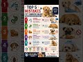 #PetCareTips #PetMistakes #DogCare #CatCare#PetHealth #Vaccination #Deworming #TickControl#VetAdvice