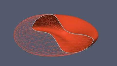 red blood cell in shear flow