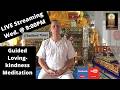 (Group Learning Program) - Guided Loving-kindness Meditation and Student Questions