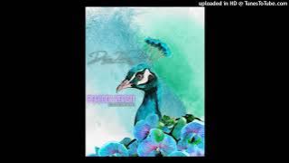Deejay ZebraSA - Peacock Revisit (uBuZonKonKo Remix)