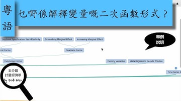 【Cantonese粵語】乜嘢係解釋變量嘅二次函數形式？｜五分鐘計量經濟學（計量經濟學輔導）第五十六集