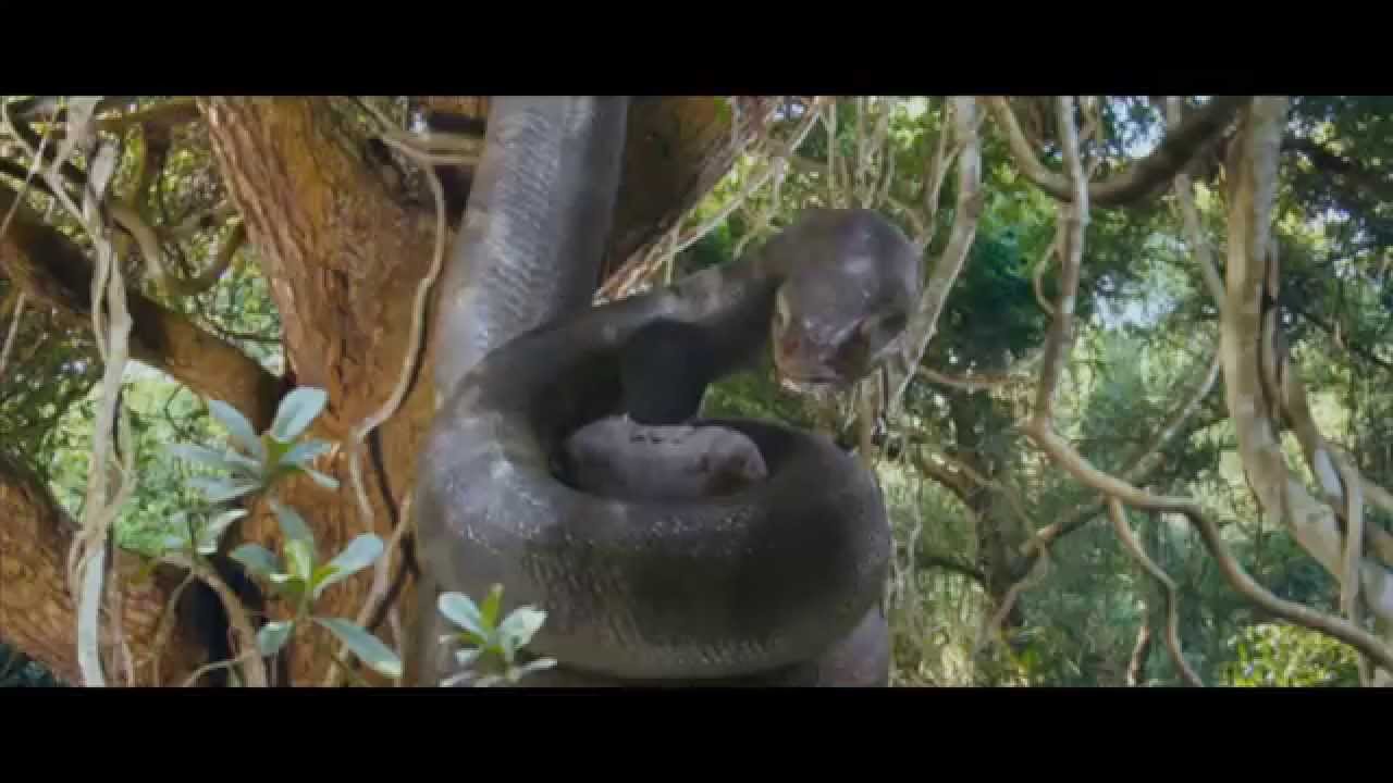 LITTLE SUPERMAN 3D Teaser Trailer