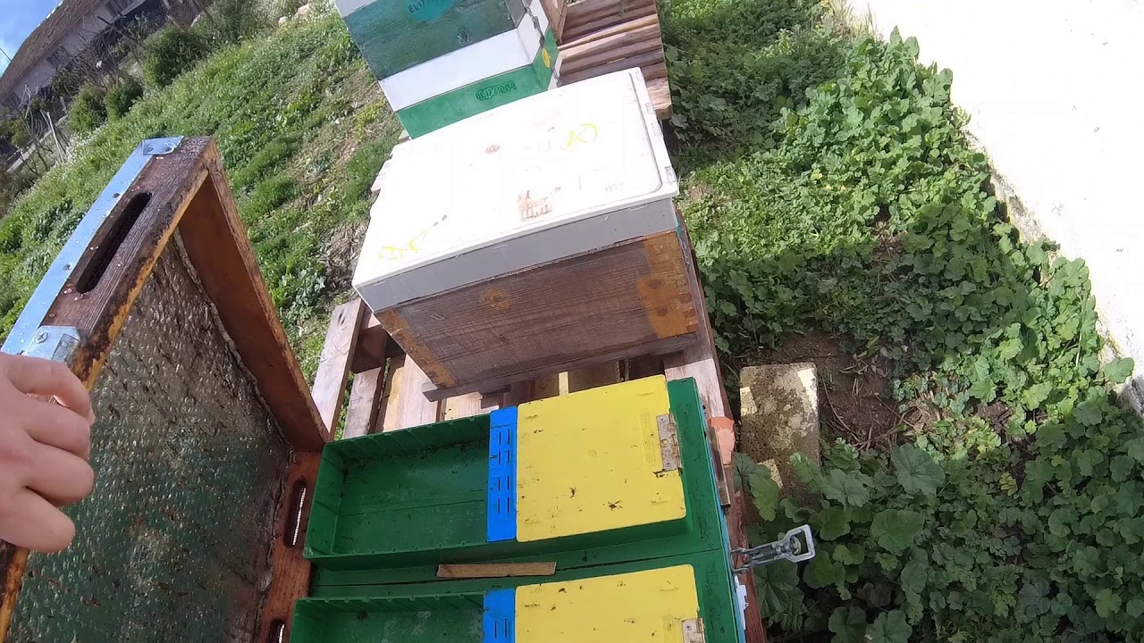 Μόνωση κυψέλης /τα μελίσσια θέλουν ταβάνι...