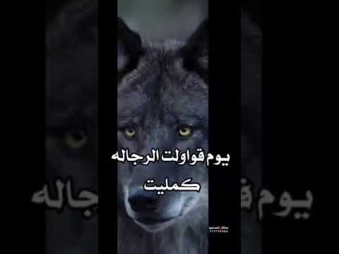 يكفي اني في حياتي استضيت الشبه مابين الانسان وربوت سالم المسعودي2024 حالات وتساب