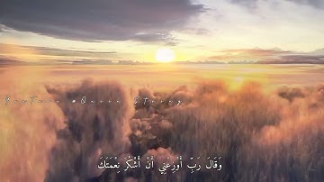 راحة نفسية || قران الكريم سورة النمل :حتى إذا أتوا على وادي النمل: حالات واتس اب دينيه || نبي سليمان