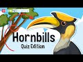 Hornbills: Ecology and Behavior