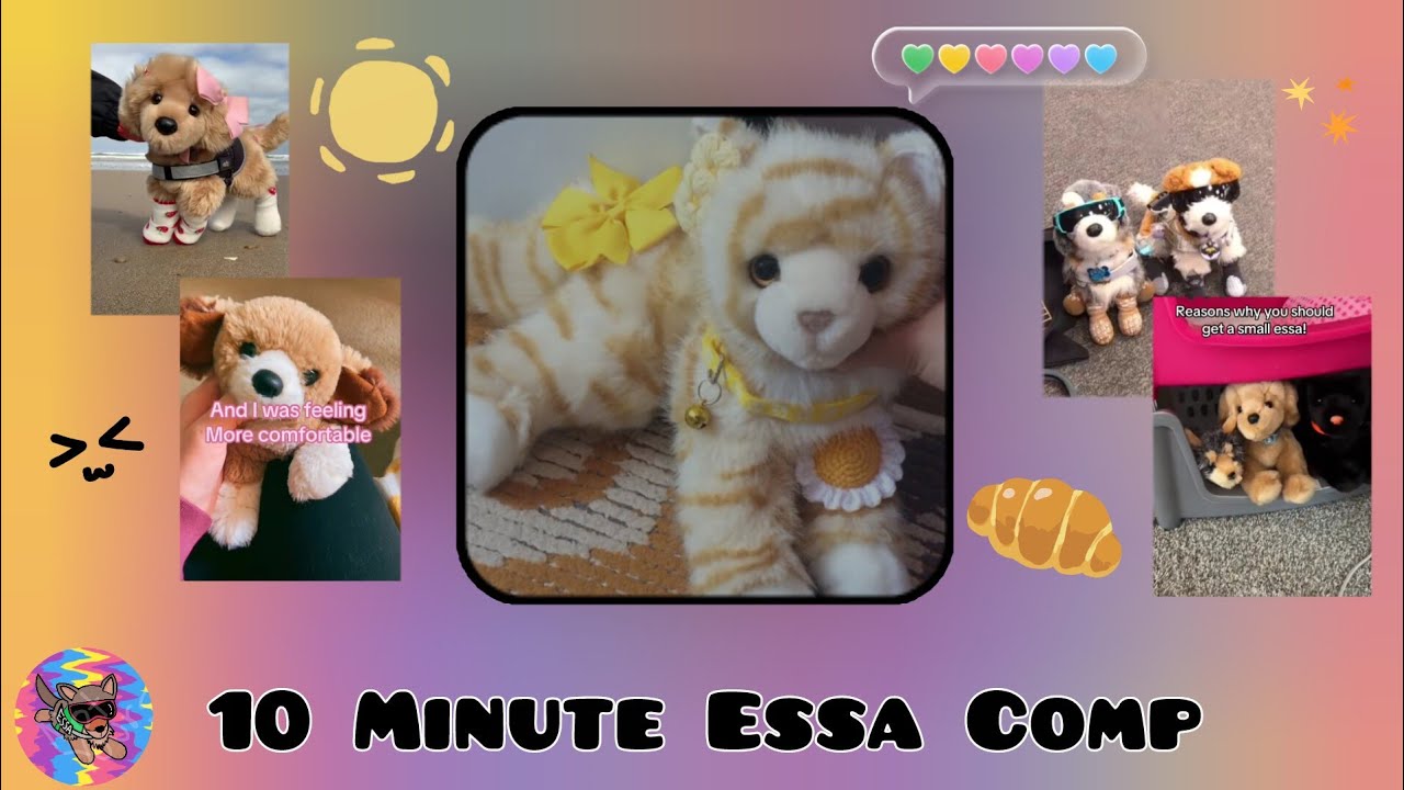 ESSA COMP TO WATCH WITH YOUR ESSA (since you don't have tiktok)