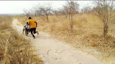 Tsaona Zim comedy