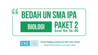 BEDAH UN SMA IPA BIOLOGI PAKET 2 (Soal No 36-40)