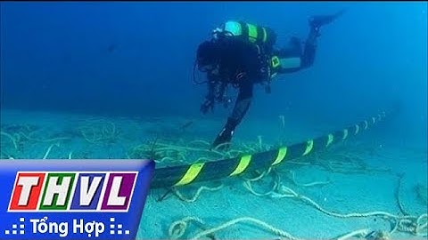 THVL | Ba tuyến cáp quang biển kết nối Internet VN đi quốc tế gặp sự cố