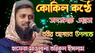 শিশু নবী(সাঃ) এর জন্মের ঘটনা ও হজরত মা আমিনা( রা:) ঘটনা Hafiz Maulana tarikul Islam