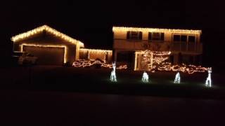 Xenogenesis - 2016 Bengis Christmas Light Show