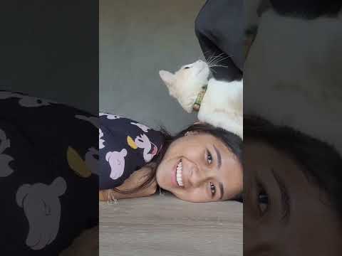 Cat Bites Man's