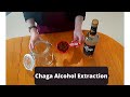 Chaga tincture dual extraction