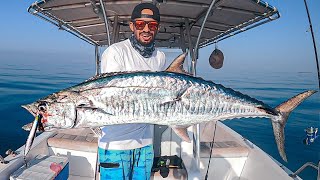 صيد سمك الدراك ( الكنعد ) كاستنج Fishing casting king fish