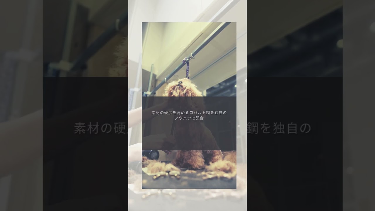 カドック KDS-55(KADOK/カット率55～65%・65～80％) ハサミ屋はやし