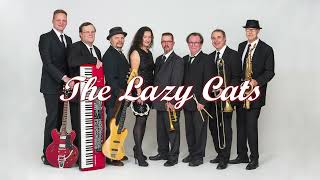 Lazy Cats - Nobody Knows You