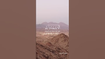 تلاوة خاشعة من سورة النمل الشيخ ياسر الدوسري #قران #اللهم_صلي_على_نبينا_محمد
