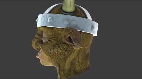 3d final (mudbox paint and texture)