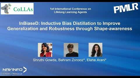 [CoLLAs 2022] InBiaseD: Improving Generalization and Robustness through Shape-awareness