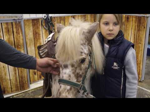 Video: Arkliuose Išliko Dantų Dangtelis