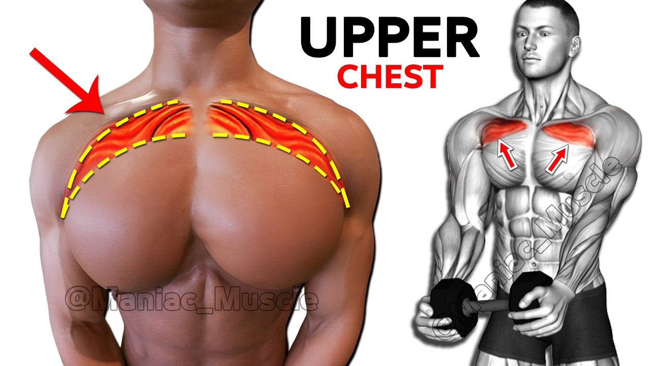 10 Best Upper Chest Exercises You Need To Know 🔥 - YouTube