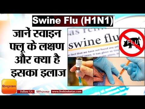 वीडियो: क्या मुझे स्वाइन फ्लू का फायदा उठाना चाहिए?